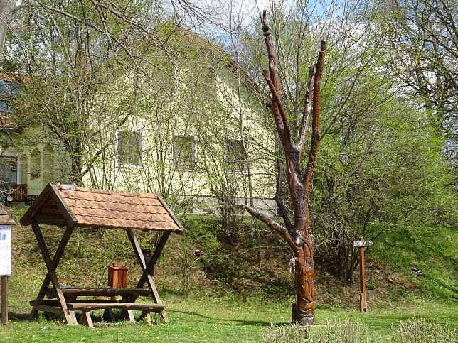 Szalaf�, Lebensbaum