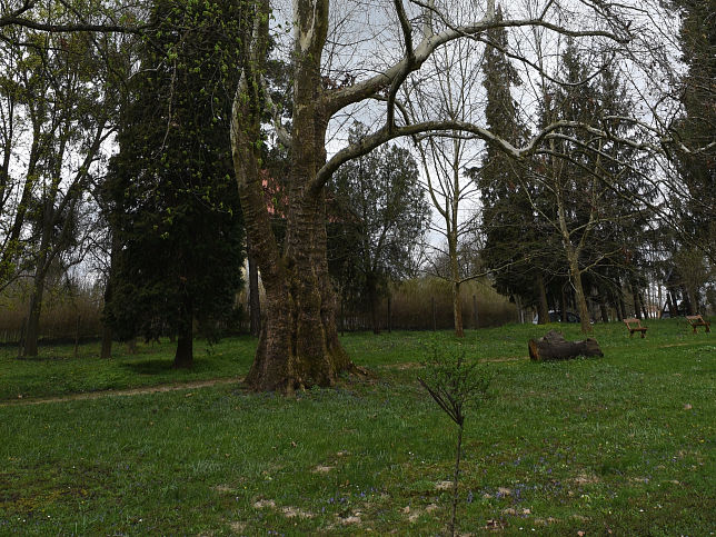 Szarvaskend, Sibrik-Villa