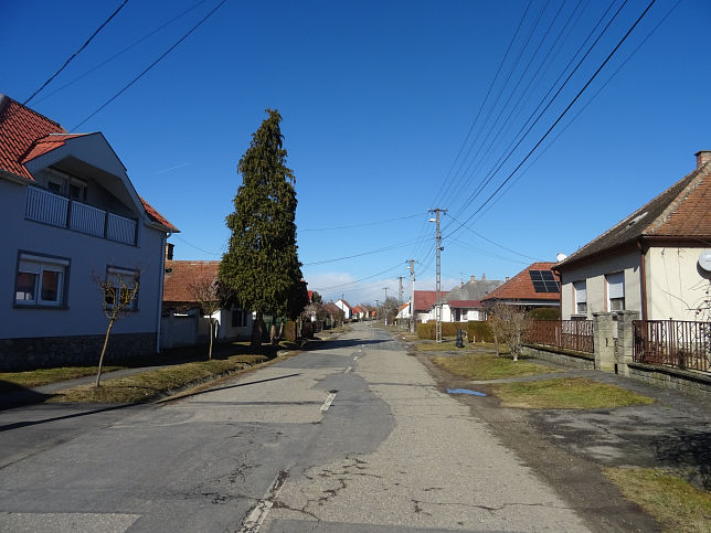 Szentp�terfa, Alkotm�ny utca