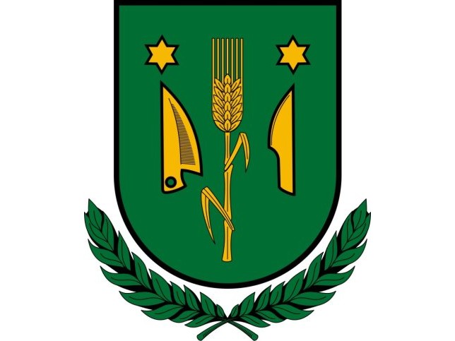 Vashosszfalu, Wappen