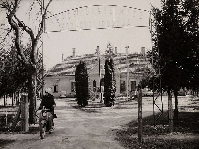 Chernelhzadamonya, MTSZ-Zentrale