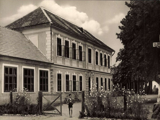 Csknydoroszl, Schule