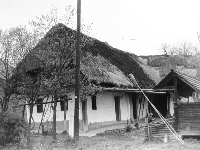 Farkasfa, Haus Dr�vecz (Nr. 87)