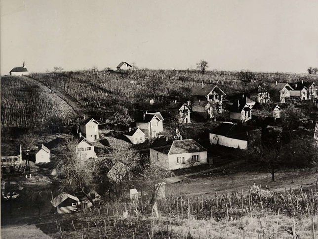 Fels�csat�r, Weinkeller