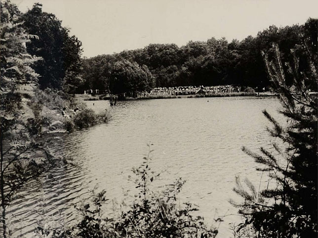 Hegyh�tszentjakab, Vad�sa-See