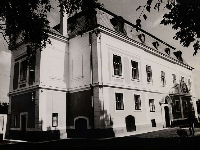 Kszegpaty, Schloss Patthy, heute Sozialheim