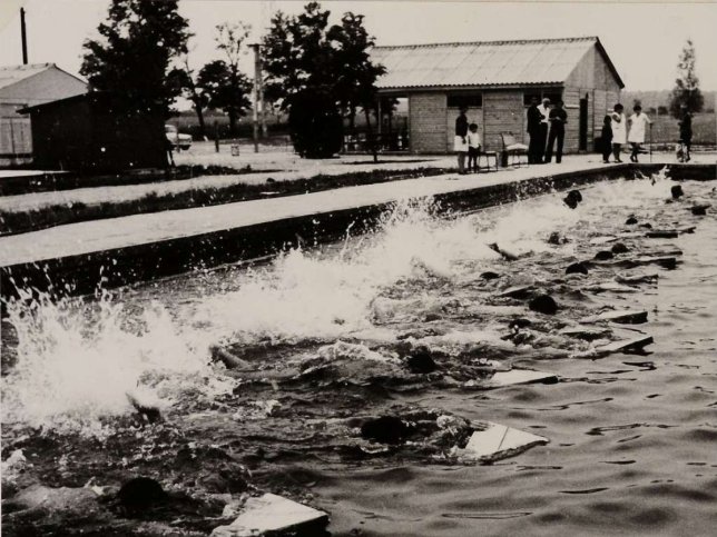 Mesteri, Schwimmunterricht