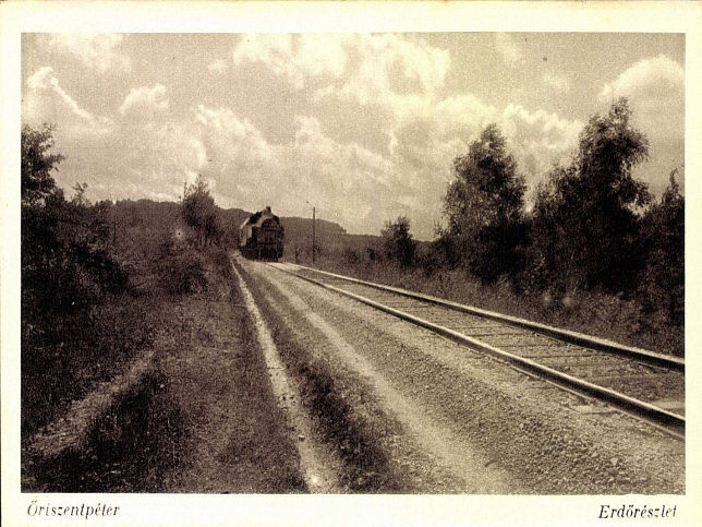 �riszentp�ter, Forstwirtschaft