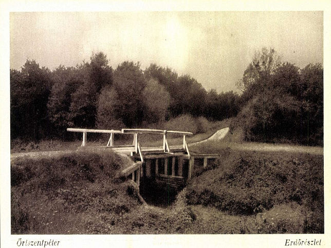 �riszentp�ter, Forstwirtschaft