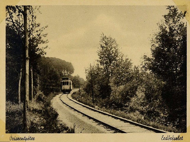 �riszentp�ter, Forstwirtschaft