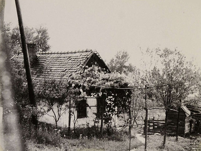 Pankasz, Romasiedlung