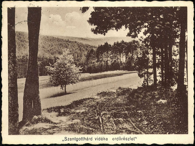 Szentgotthrd, Forstwirtschaft