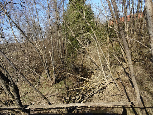 Szlnki-patak