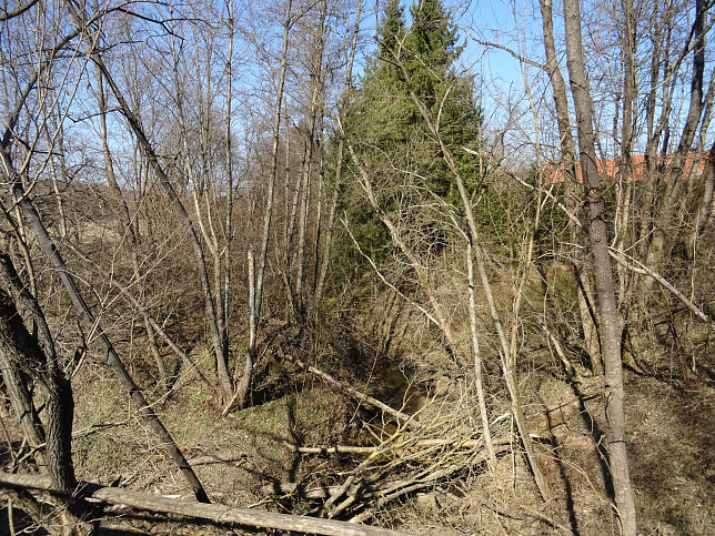 Szlnki-patak