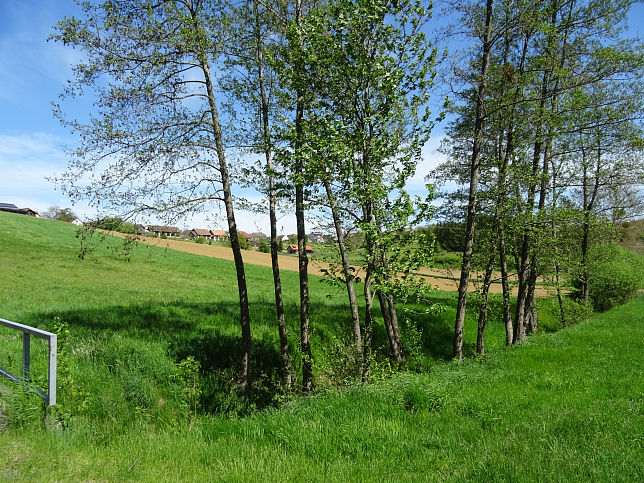 Khidi-patak