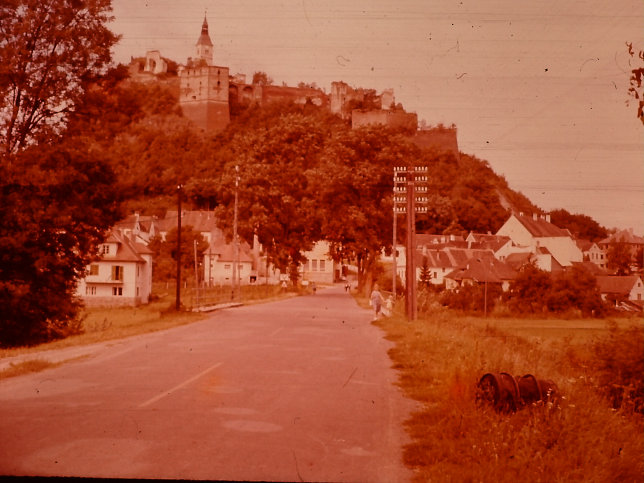 Gssing, Burg Gssing