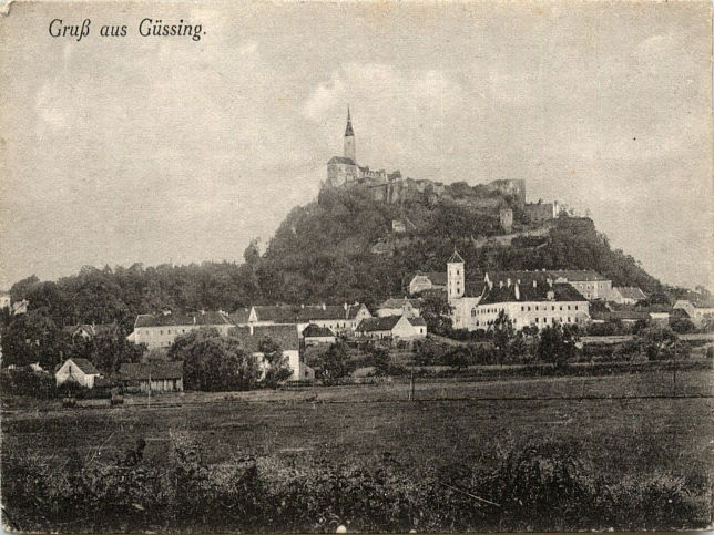 Gssing, Burg