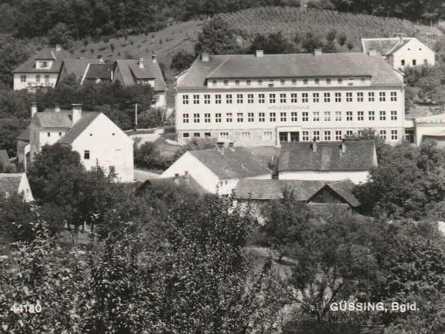 Gssing, Volksschule mit Burg