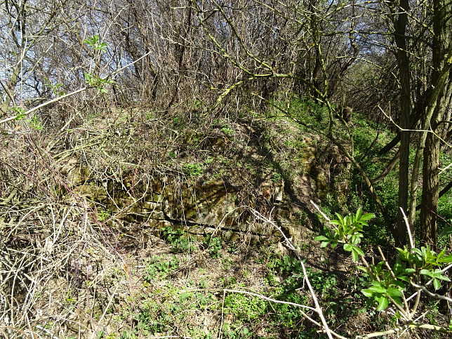 Gssing Railway