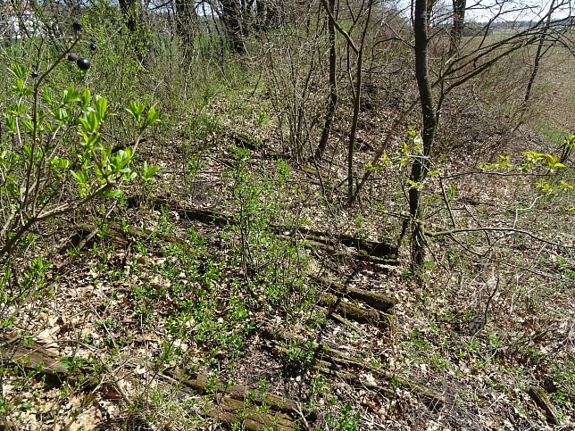 Gssing Railway