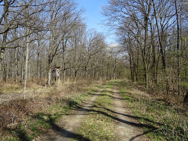 Gssing Railway
