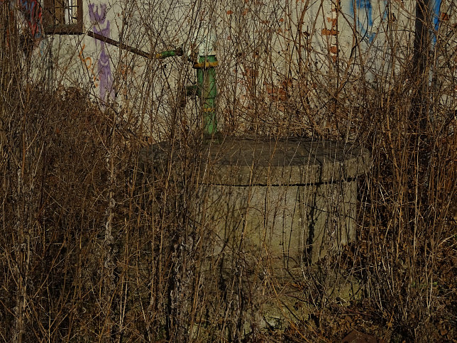 Dammstrae 5