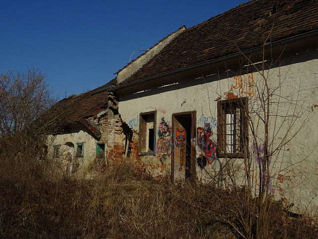 Dammstrae 5