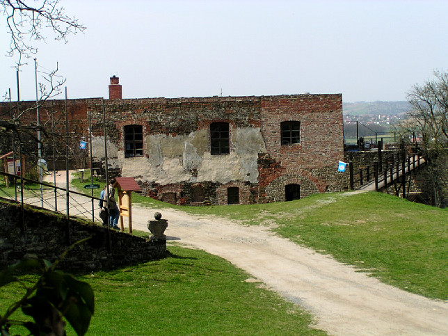 Castle ruin