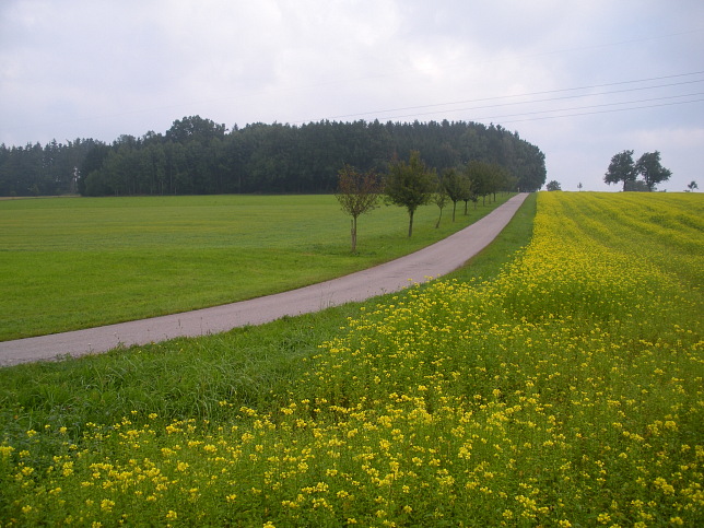 Etappe 09
