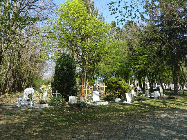 Oberwart, Gemeindefriedhof