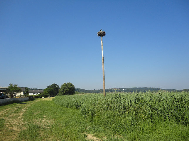 Ramsar Rundwanderweg