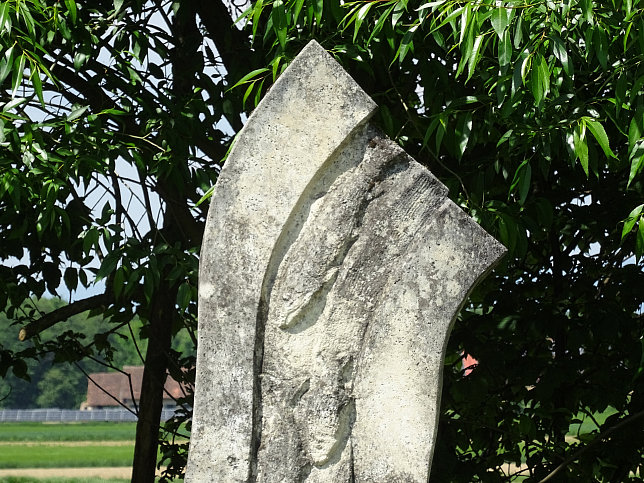 Neudau, Hochwasserschutz