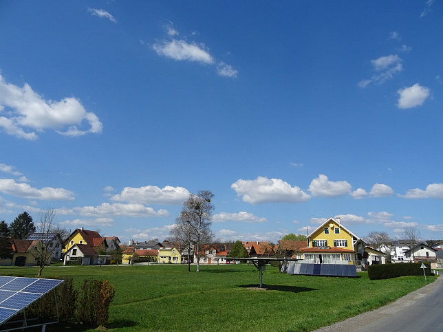 Schau