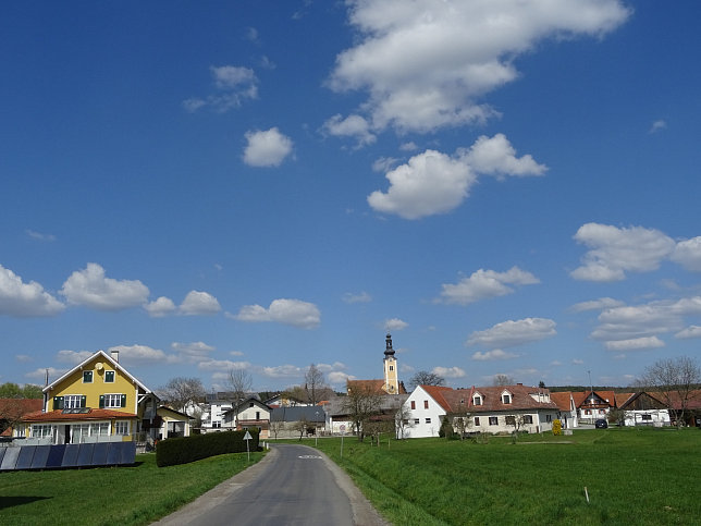 Schau