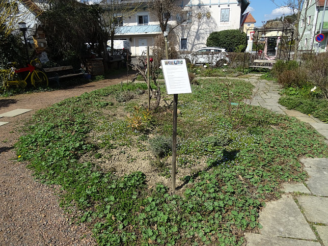 Schau, Krutergarten