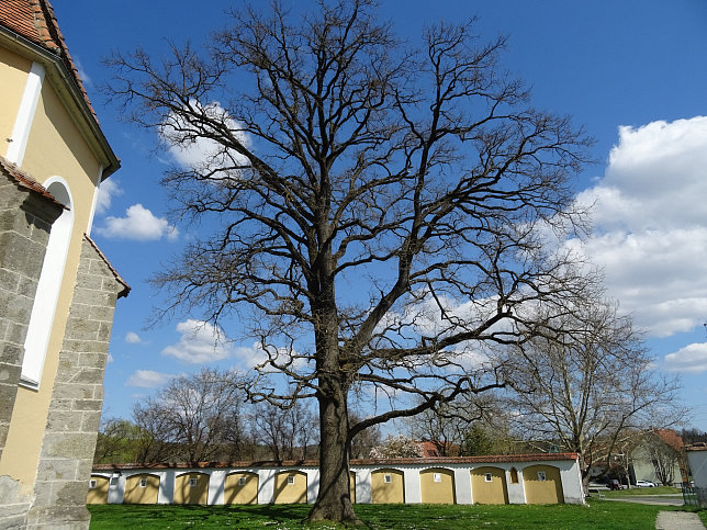 Schau, Pfarrkirche Schau