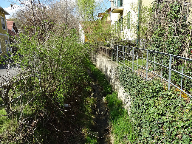 Schauer Dorfbach