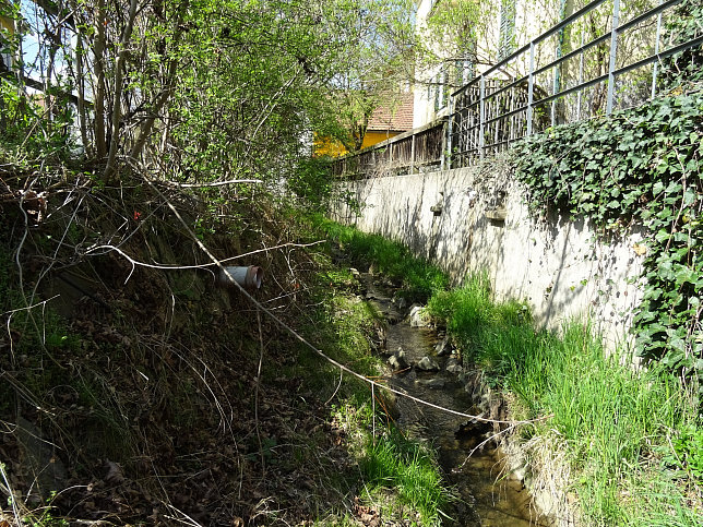 Schauer Dorfbach