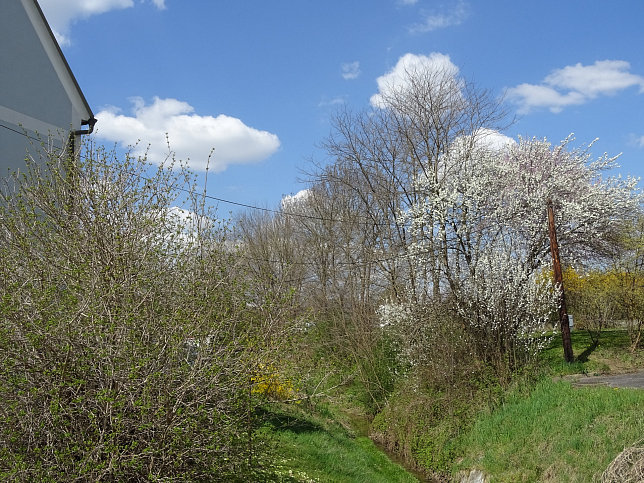 bersbach, Hl. Johannes Nepomuk