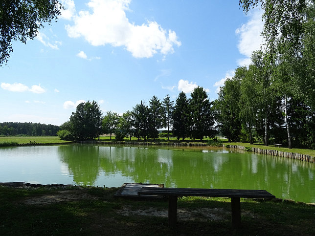 Unterlimbach, Teich