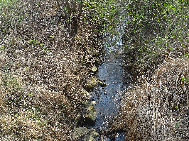 Bocksdorf, Waldbrcklgraben