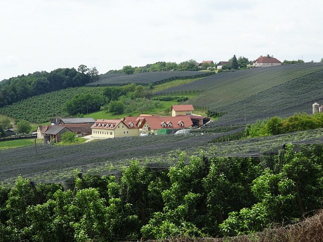 Kukmirn, Apfelhof Flieder