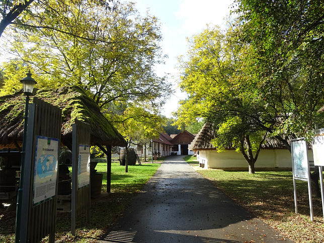 Moschendorf, Weinmuseum