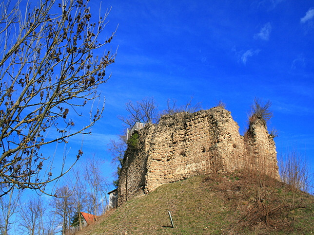 Neuhaus am Klausenbach, Burgruine