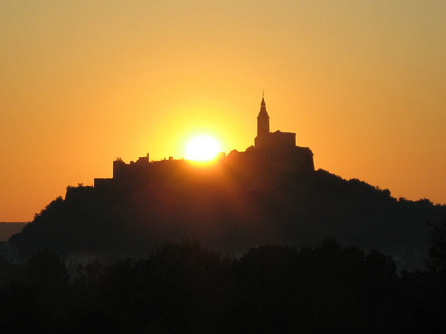 Best-of-Vienna