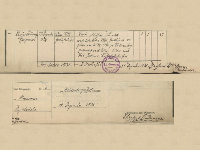 Adolfine Caroline Teresia Vock, geb. Loibl von Oppenritter (Ehefrau)