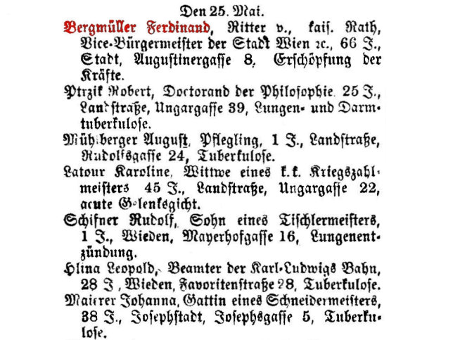 Ferdinand Ritter von Bergmller