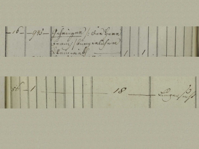 Franz Geringer, Gastwirt