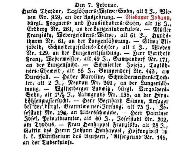 Johann Niebauer