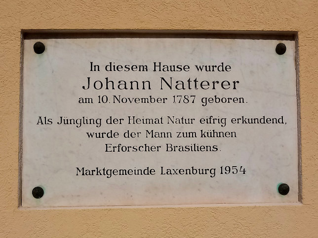 Johann Natterer